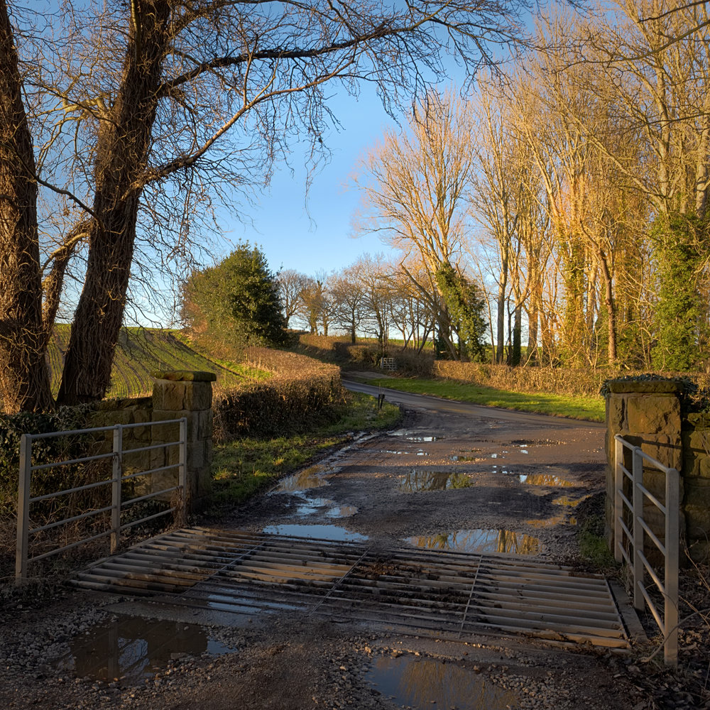 Puddles at Puddington (Image David Bailey)